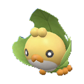 Buy Sewaddle